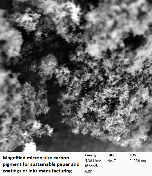 Carbon BP280 Cabot SEM magnification McGill 21